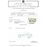 Renewal of Industrial Design in Italy